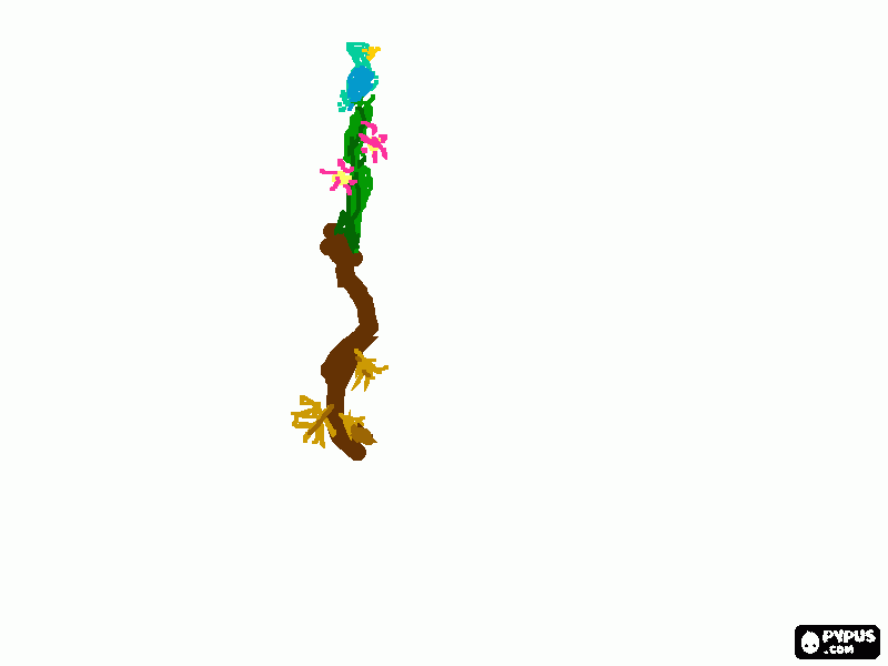 για ζωγραφικήbirt