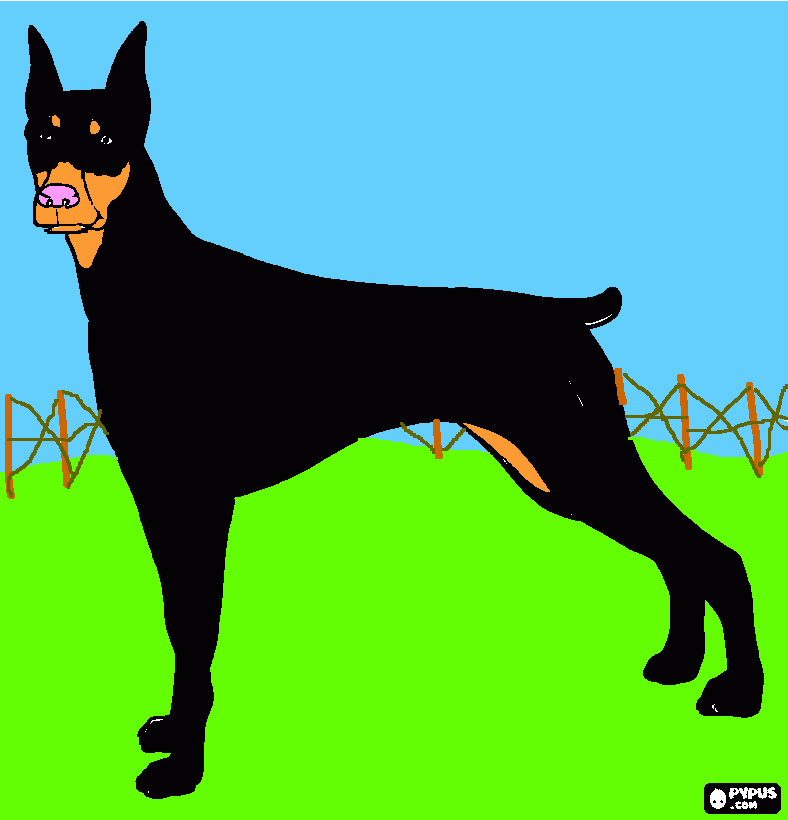 για ζωγραφικήDOBERMAN MIMI