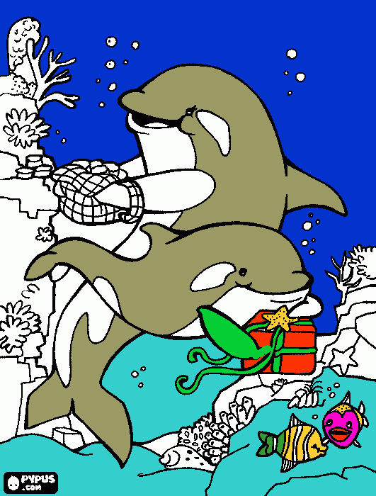 για ζωγραφικήdolfhin