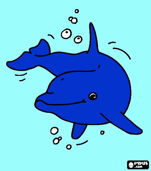 για ζωγραφικήdolfin