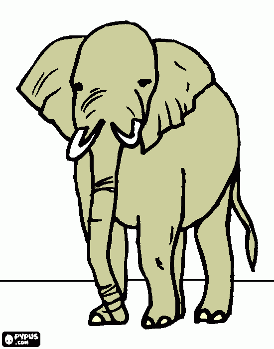 για ζωγραφικήelefantas