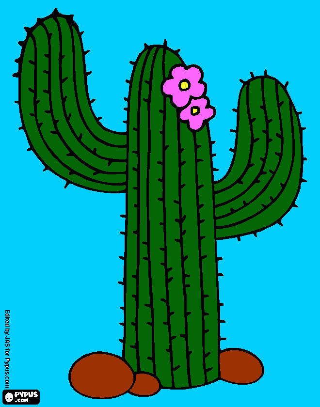 για ζωγραφικήEνας κακτος.