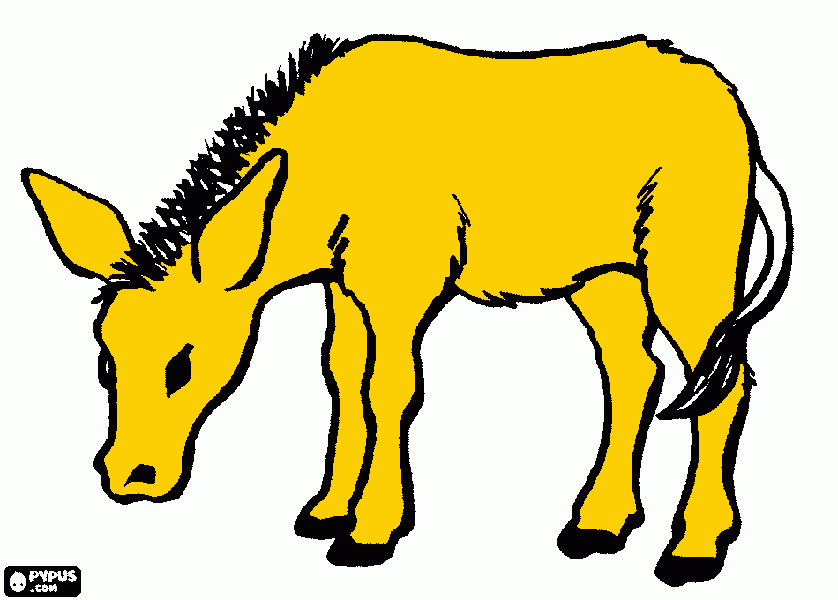 για ζωγραφικήgaidarakos