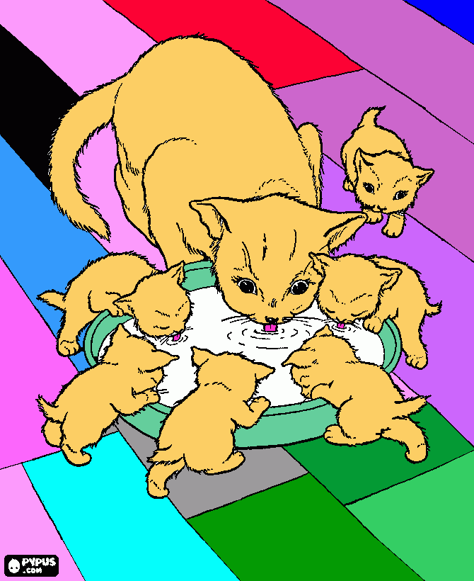 για ζωγραφικήgatakia