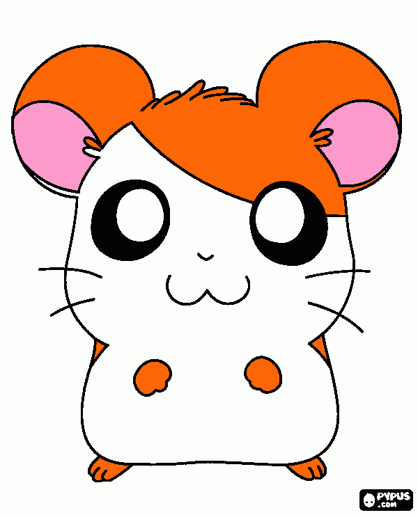 για ζωγραφικήhamster