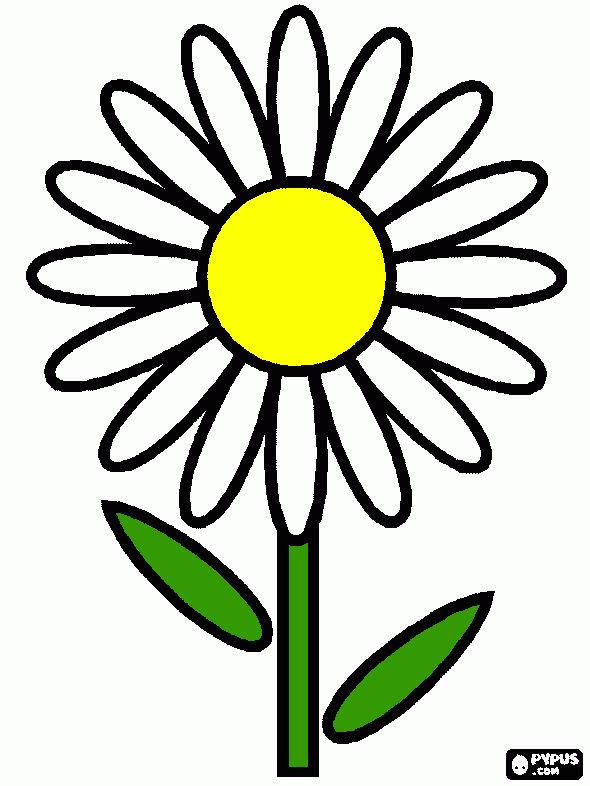 για ζωγραφικήmargarita