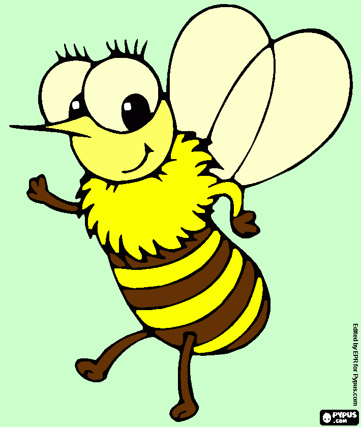 για ζωγραφικήmelicca