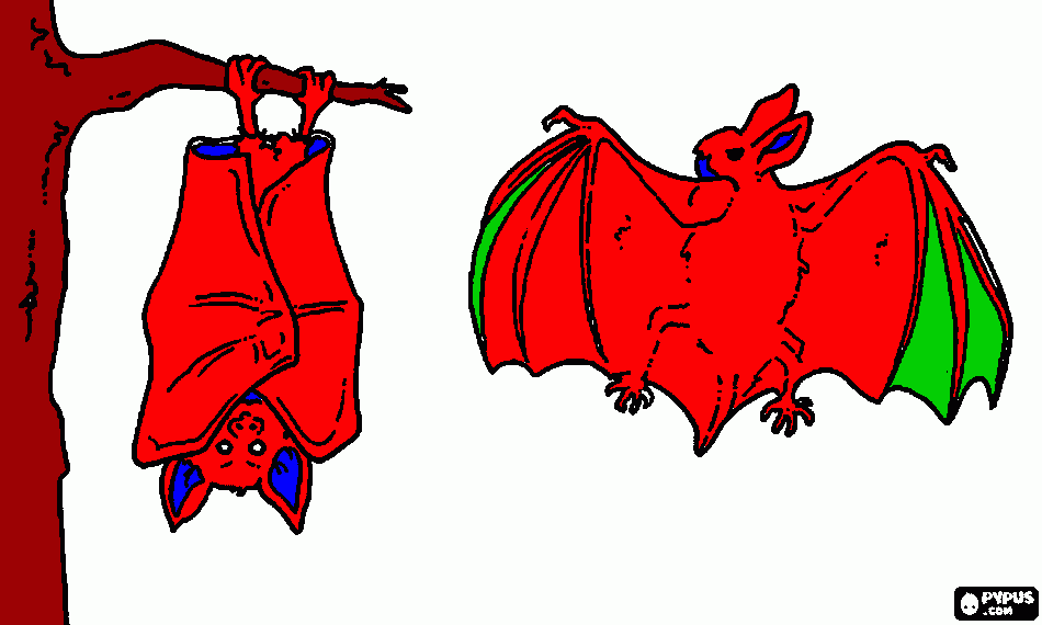 για ζωγραφικήnixterides