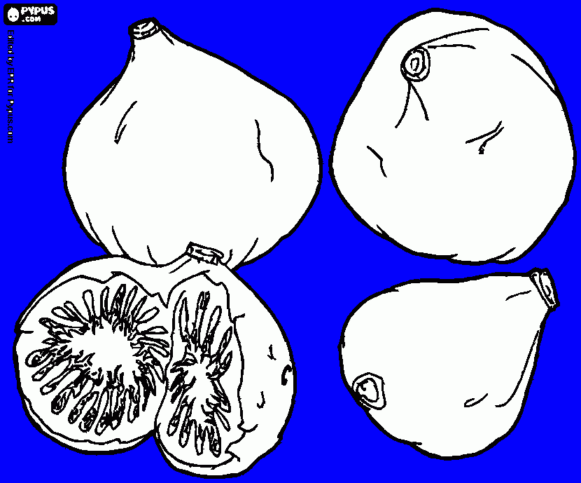 για ζωγραφικήolia