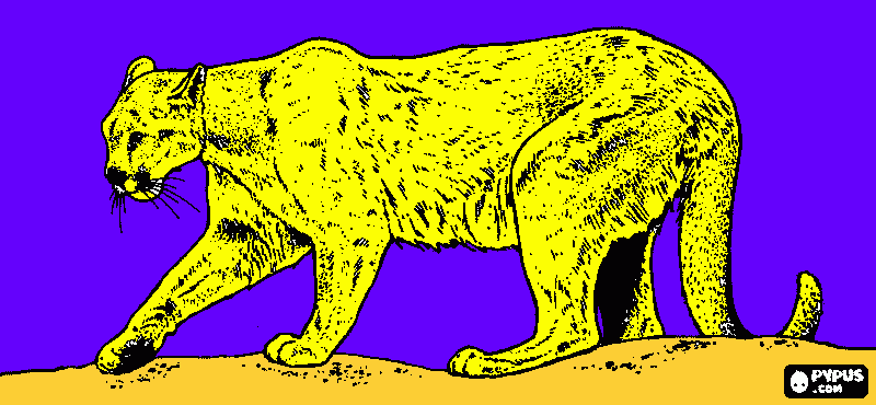 για ζωγραφικήpoyma