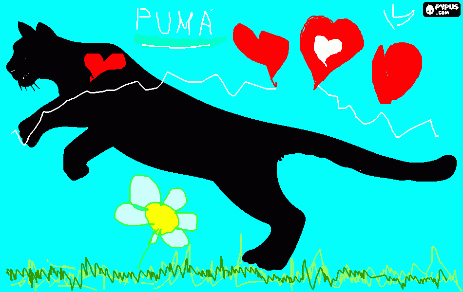 για ζωγραφικήPUMA