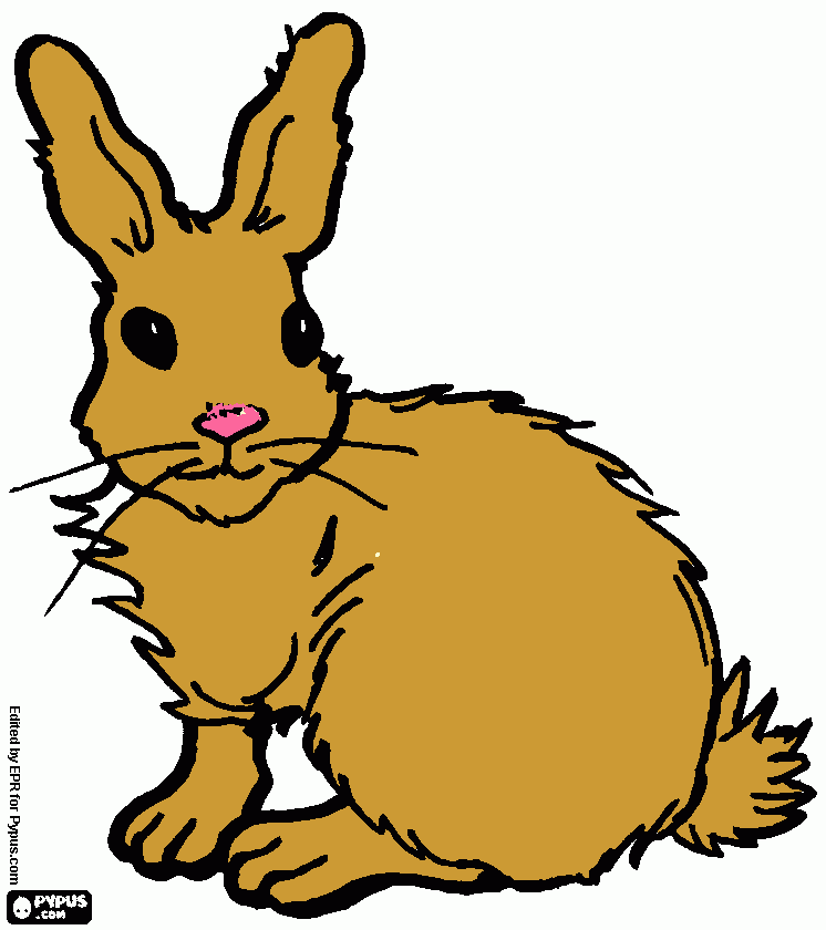 για ζωγραφικήrabbit