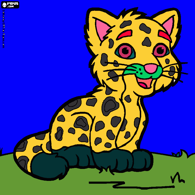 για ζωγραφικήTIGRAKH