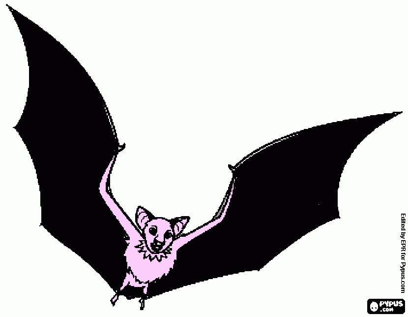 για ζωγραφικήvixterida