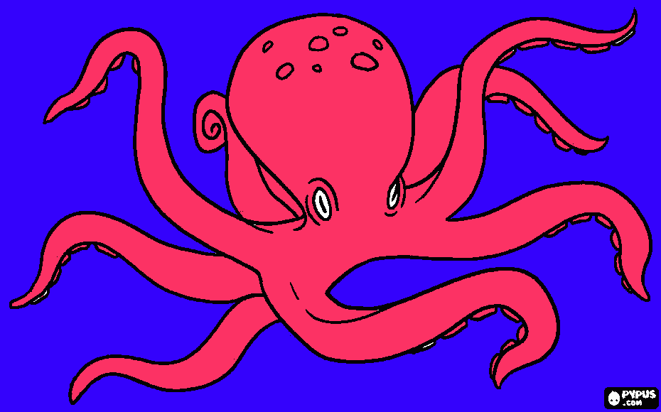 για ζωγραφικήxtapodi