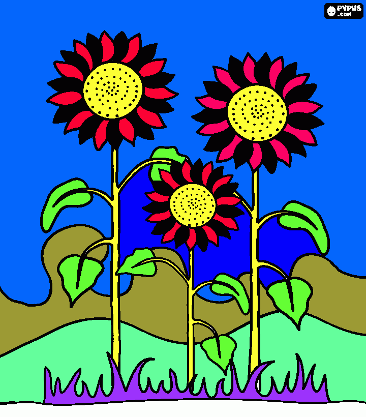 για ζωγραφικήΉλιοι