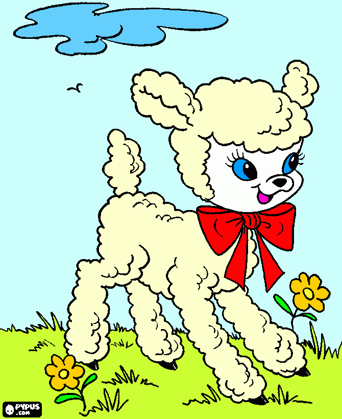 για ζωγραφικήΑΡΝΑΚΙ