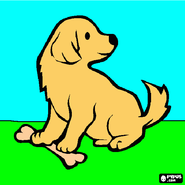 για ζωγραφικήΜΠΑΡΑΚΟΥ