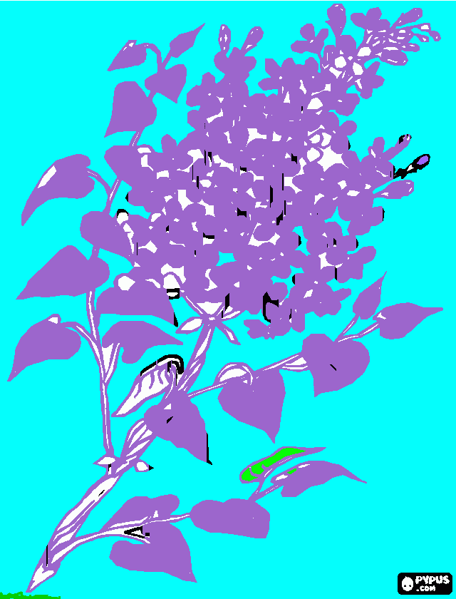 για ζωγραφικήΜΩΒ ΠΑΡΑΔΕΙΣΟΣ