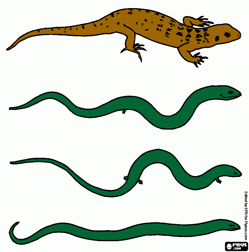 για ζωγραφικήΠως το φίδι έγιγε σαύρα