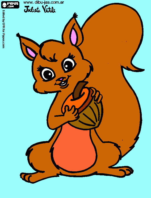 για ζωγραφικήΣκιουράκι