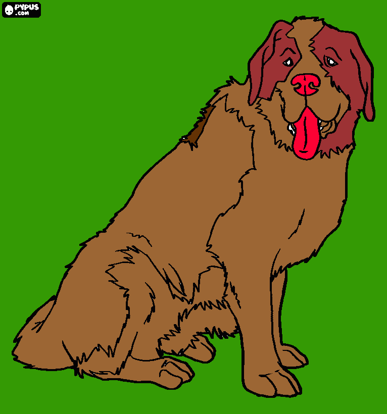 για ζωγραφικήΣκύλος μου