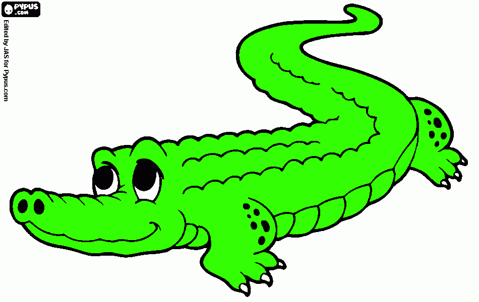 για ζωγραφικήΤΑΜΠΑΛΟΥΚΑΣ