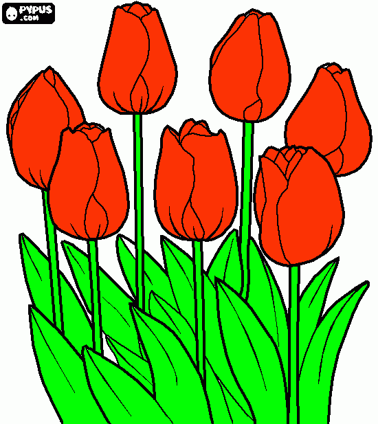 για ζωγραφικήγια το κου