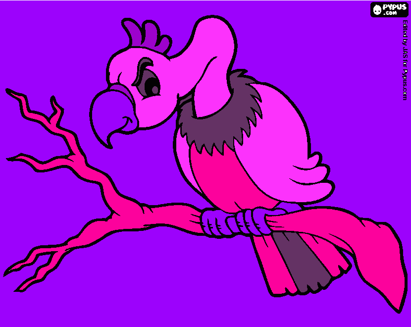 για ζωγραφικήγυπάκι αννούλας