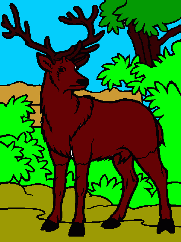 για ζωγραφικήελαφι σε  δασος