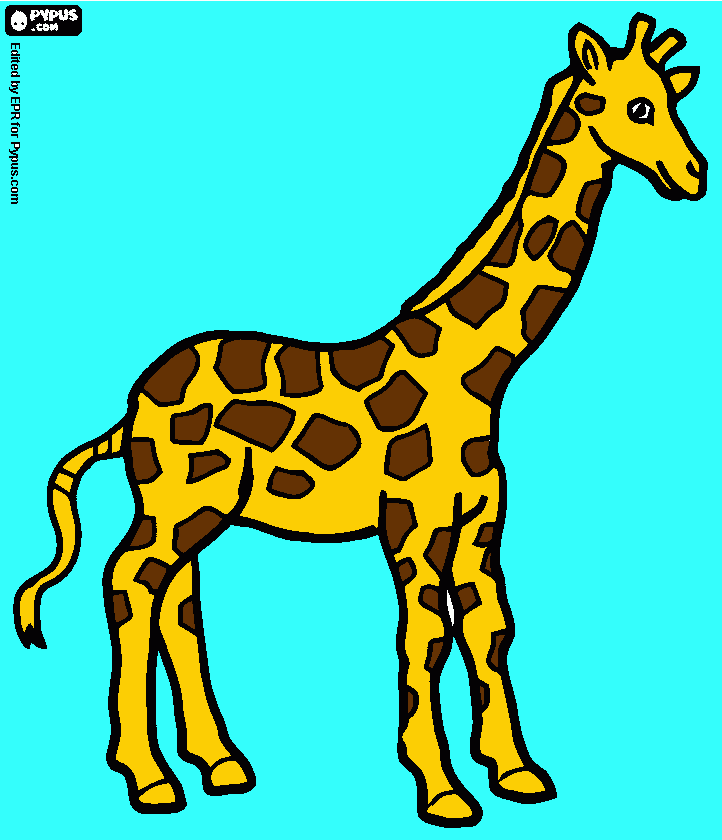 για ζωγραφικήη καμηλοπαρδαλη