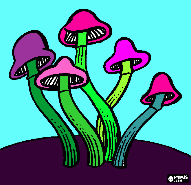 για ζωγραφικήμανιταρια