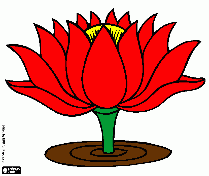 για ζωγραφικήνούφαρο