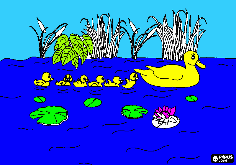 για ζωγραφικήπαπακια