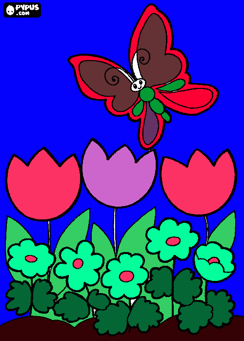 για ζωγραφική  πεταλουδα