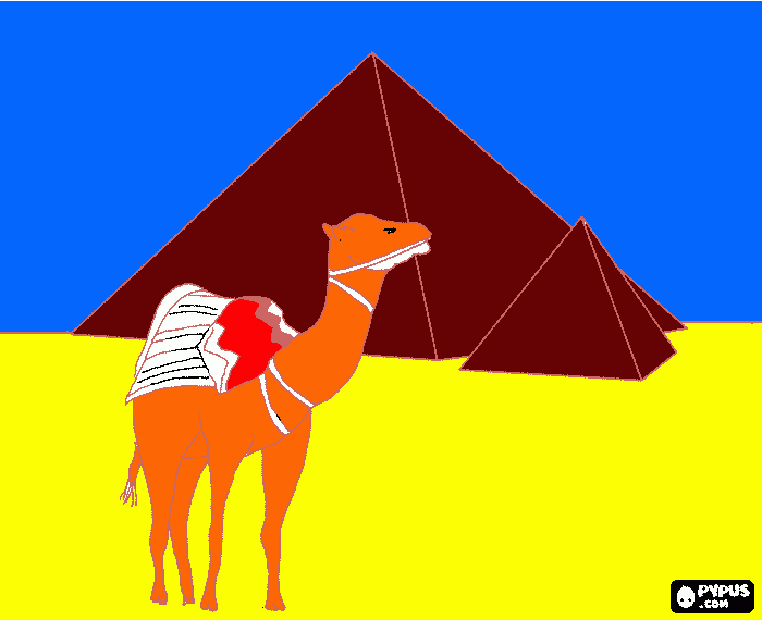 για ζωγραφικήπυραμιδες και καμηλα