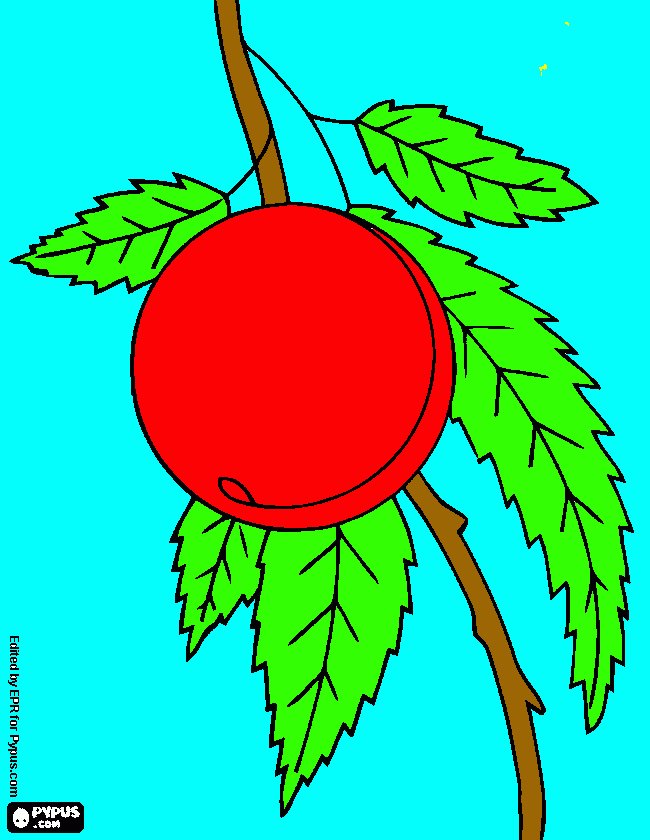 για ζωγραφικήροδακινακι