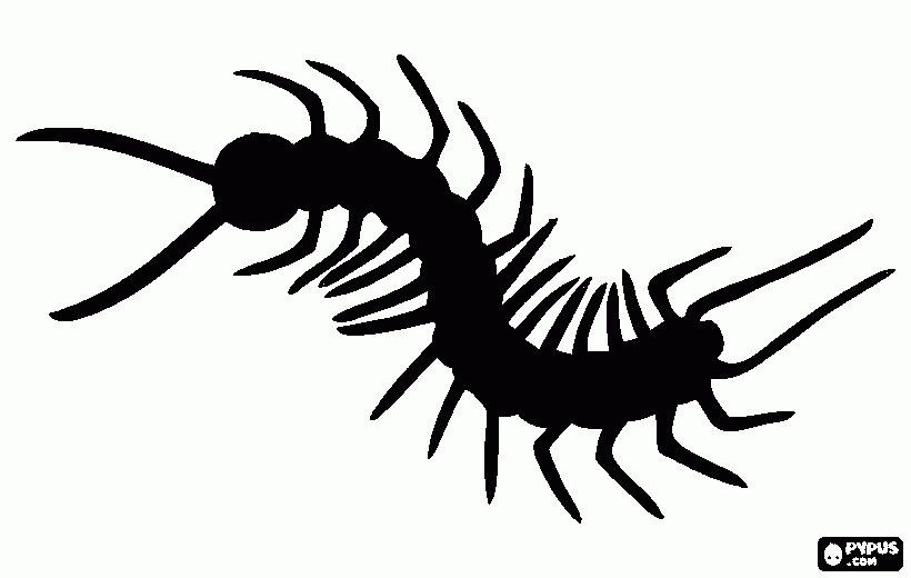 για ζωγραφικήσαρανταποδαρουσα