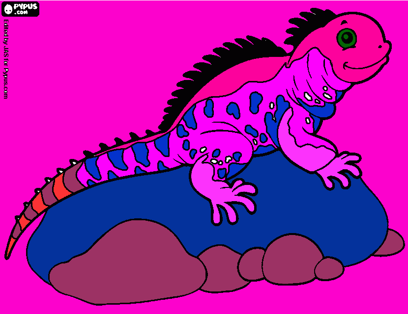 για ζωγραφικήσαύρα αννούλας