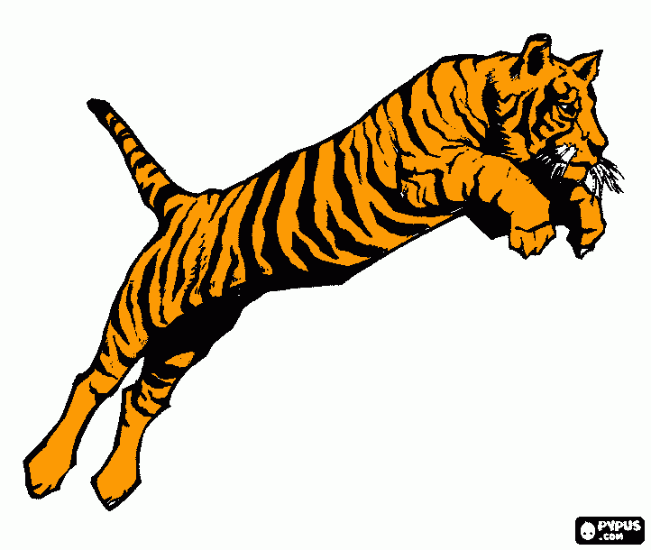 για ζωγραφικήτίγρης