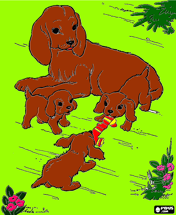 για ζωγραφικήτα κουταβακια παιζουν και η μαμα τους τα κοιταει και τα προστατευει και τα φροντισζει!!!!!!