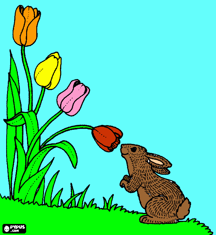 για ζωγραφικήτουλιπες