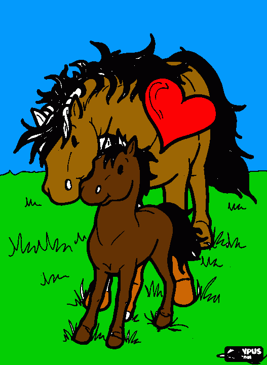 για ζωγραφικήφοραδα και πουλαρι